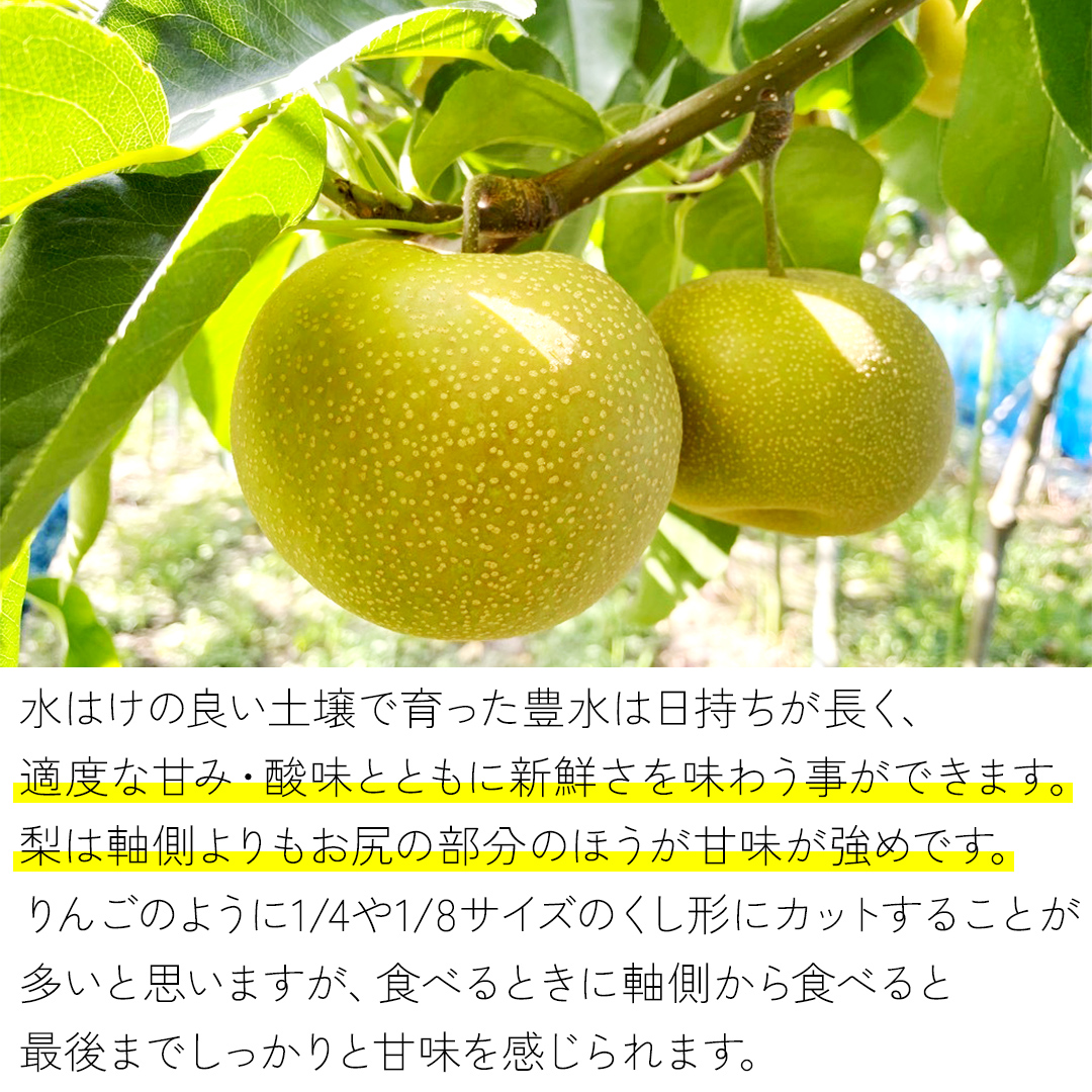 2025年9月上旬発送開始 】 豊水梨 約 10kg ( 茨城県共通返礼品