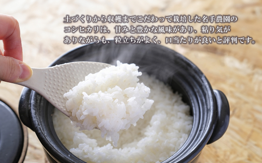 【定期便3ヶ月】名手農園の淡路島産コシヒカリ 10kg　[精米 白米]