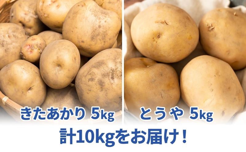 北海道 雪蔵 きたあかり とうや 約10kg 2026年2月中旬より順次お届け じゃがいも ジャガイモ 馬鈴薯 キタアカリ 北あかり 芋 いも 雪蔵貯蔵 野菜 農作物 北海道産 丸田農園 送料無料