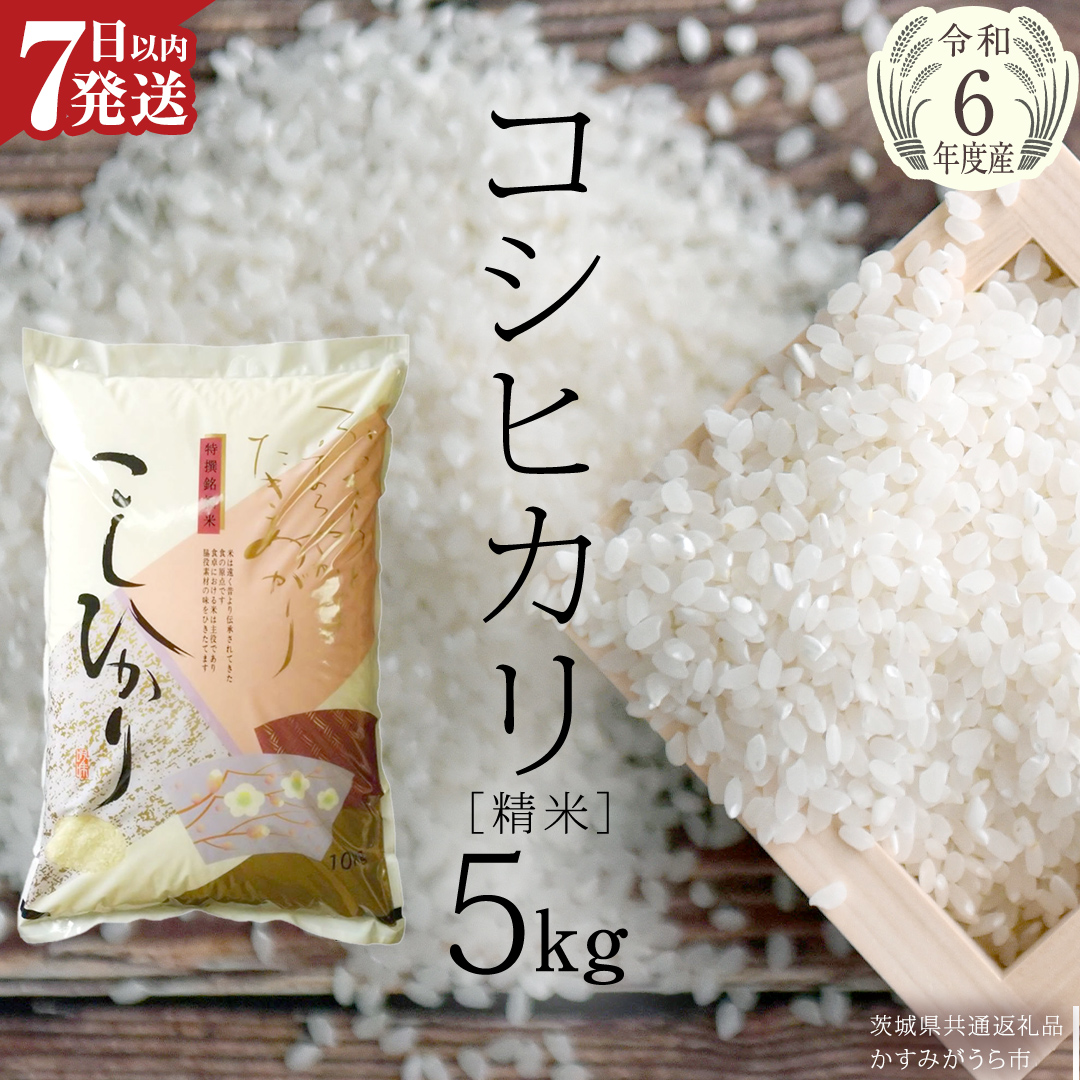 生活応援価格！【 令和6年産 】 コシヒカ