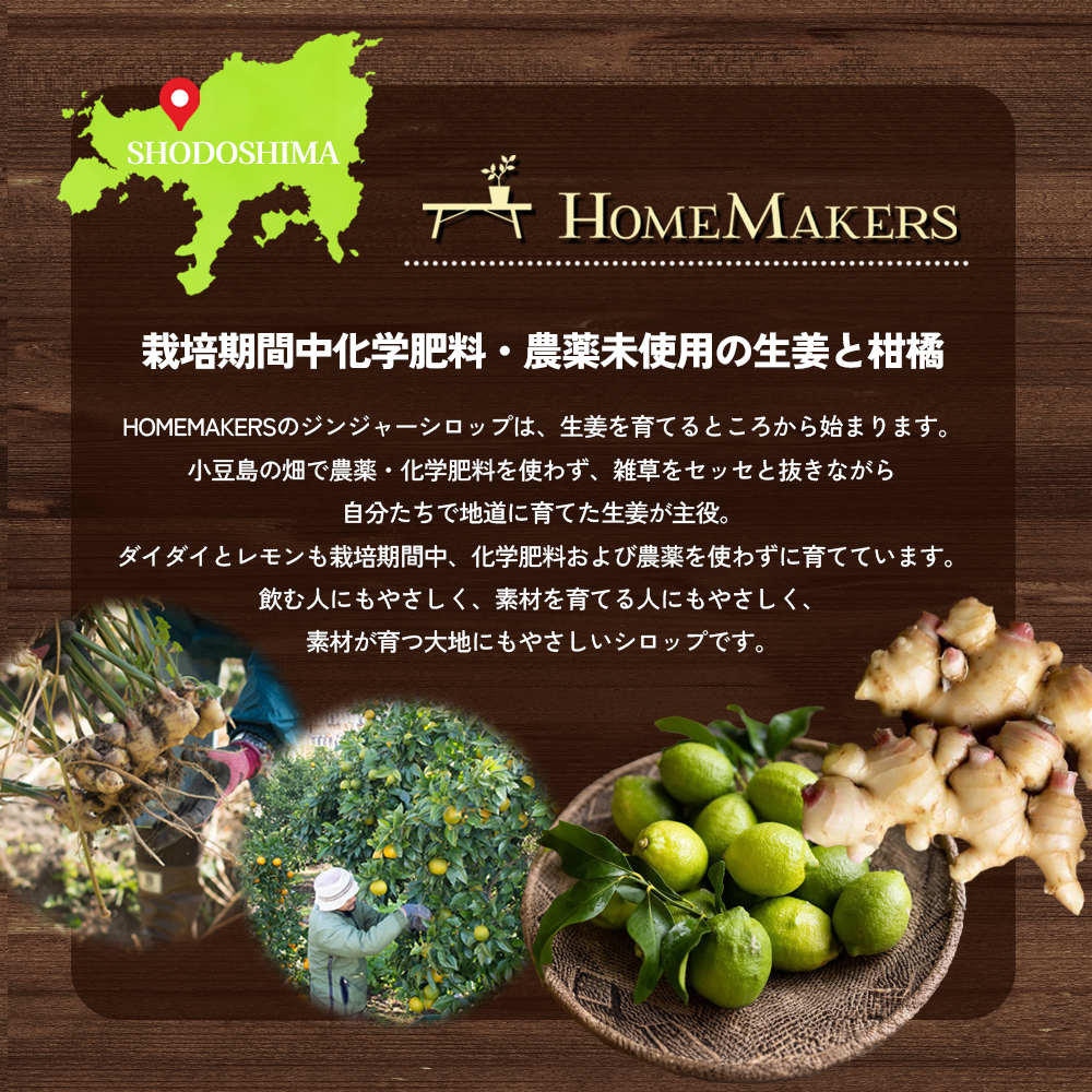 予約商品【 小豆島 】小豆島ジンジャー&ダイダイレモンシロップ2本セット シロップ ジンジャー  飲料 ドリンク シロップ ギフト 贈り物 香川 香川県 土庄 土庄町