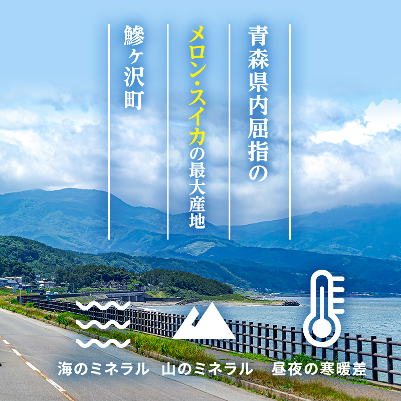 メロン 先行 予約 青森 減農薬栽培メロン 2玉 糖度16度以上保証 減農薬 青肉 赤肉 青肉メロン 赤肉メロン フルーツ 果物 旬のフルーツ 旬の果物 旬 夏 レビュー 高評価 先行予約 2026 2026年 青森県
