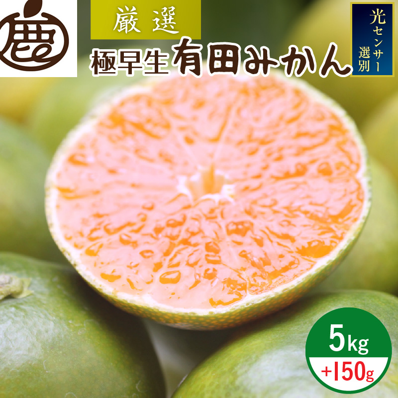 ZE6304_【まごころ手選別】和歌山県産 有田みかん(極早生) 5kg 【家庭