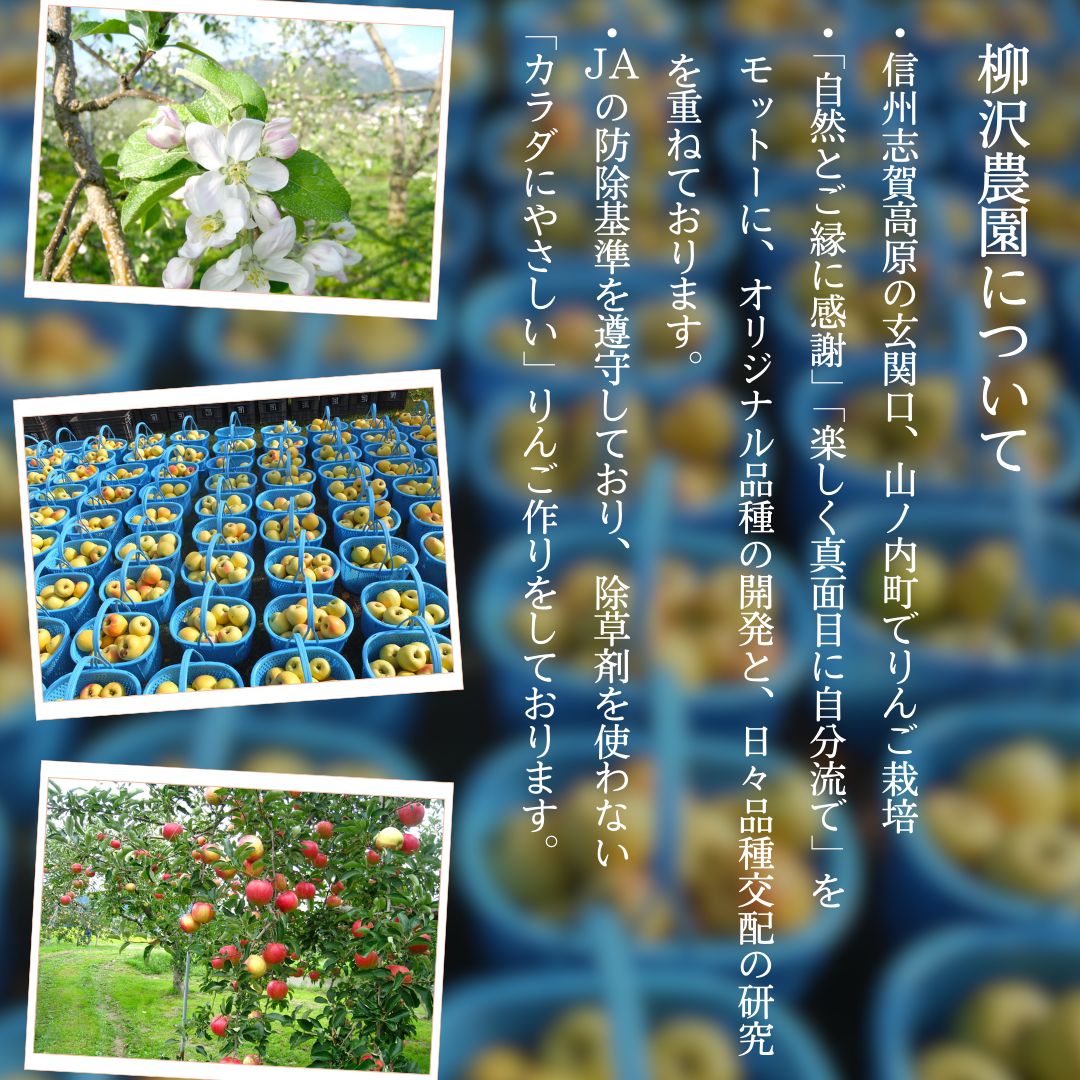 ジュース 柳沢農園のりんごジュース1Lｘ6本 りんご 飲料 果汁 サンふじ 長野 山ノ内町