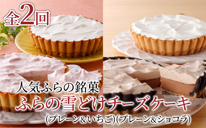 【北海道富良野市】【定期便】人気ふらの銘菓 ふらの雪どけチーズケーキ (プレーン・いちご)(プレーン・ショコラ)2品×全2回 《2ヵ月連続お届け》 イチゴ ショコラ チーズケーキ 菓子 ケーキ スイーツ カステラ 冷凍 定期 お楽しみ 北海道 富良野 富良野市