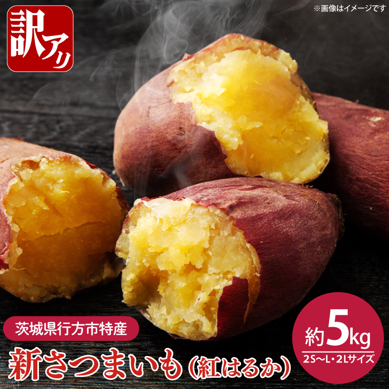 2025年8月中旬より順次発送】☆訳あり☆茨城県行方市特産 新