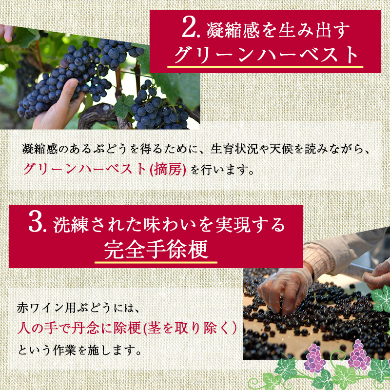 日本ワイン ソラリス 千曲川 シャルドネ 樽仕込み 750ml×6本 ワイン 白ワイン マンズワイン 酒 お酒 洋酒 果実酒 ぶどう酒 長野 長野県小諸市 