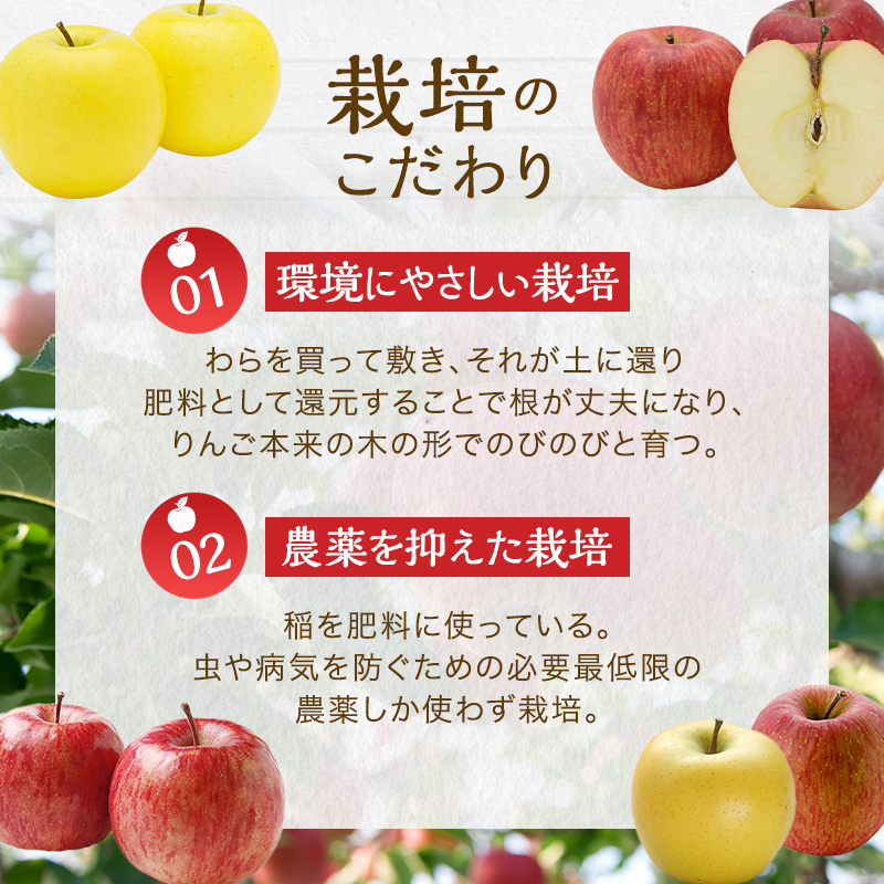 りんごジュース 6品種 飲み比べ セット 詰め合わせ りんご ジュース フルーツ 果物