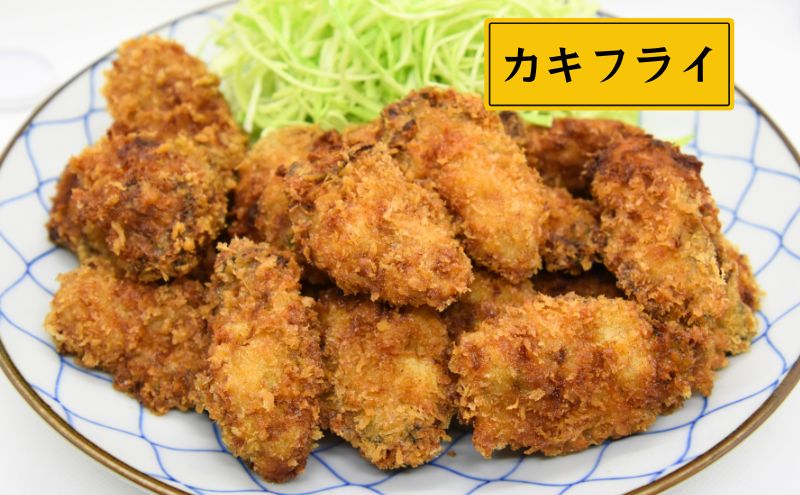 牡蠣 2026年 先行予約 牡蠣むき身 500g×2パック（合計1kg） 山銀商店 瀬戸内海虫明湾産 魚貝類 生牡蠣 かき 魚介類 カキ 加熱調理用 