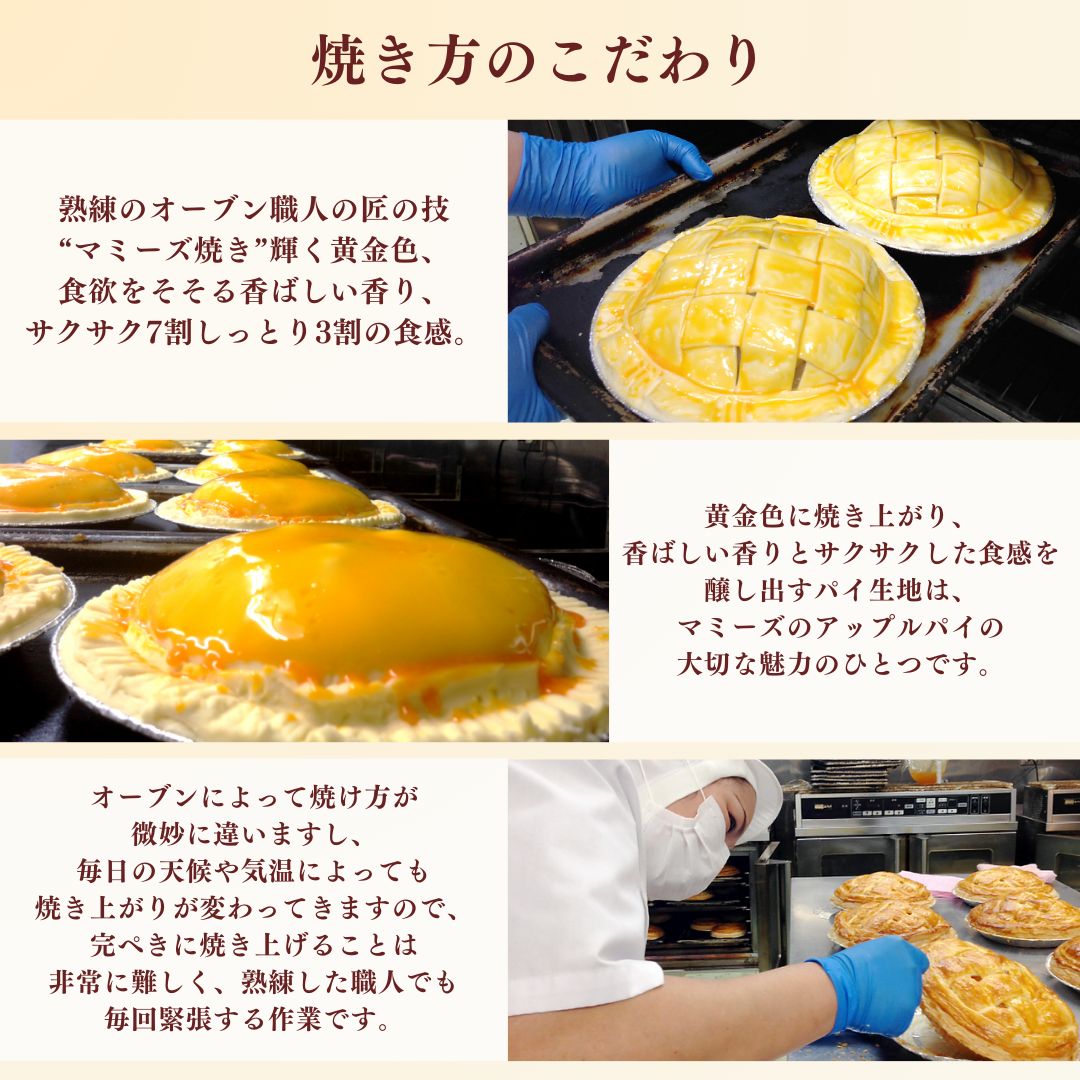 アップルパイ大ホール（20cm）山ノ内町 スイーツ お取り寄せ