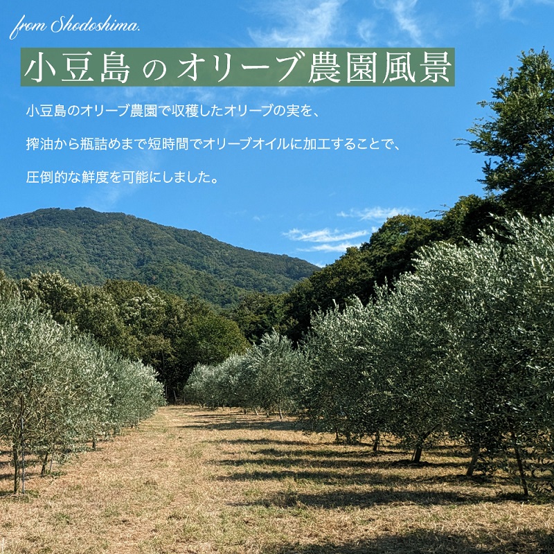 【 小豆島 】小豆島産100％「純」エキストラバージンオリーブオイル120ml(単品)1本 オリーブオイル エクストラバージン 小豆島 調味料 オイル 油