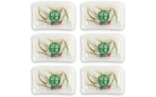 慶みん 野菜餃子(タレ付き) 合計60個 (10個入×6パック) 合計約1.3kg 餃子 ぎょうざ ギョーザ 豚肉 惣菜 おかず おつまみ 家飲み 中華 冷凍 宮崎県産 九州産 国産 冷凍 送料無料