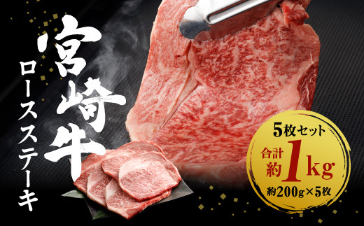 y{茧т̎sz{苍 ؂藎Ƃ [XXe[L 5Zbg 200g×5 1000g 1kg јa a   [X Xe[L Zbg ʂȓ a LO 蕨  v[g Mtg p[eB[ Y Ⓚ {茧Y BY  { jI{苍́Aj