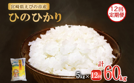 【令和7年産先行予約】【年間定期便】えびの
