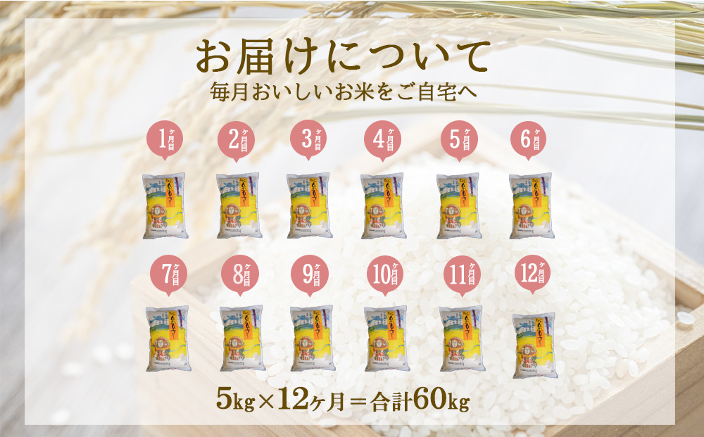 宮崎県えびの市のふるさと納税 【令和7年産先行予約】【年間定期便】えびの産 ひのひかり 5kg×12ヶ月 合計 60kg 米 定期便（2025年11月発送開始予定）お米 おにぎり お弁当 TKG ヒノヒカリ 九州 宮崎県 特選米 冷めても美味しい 送料無料