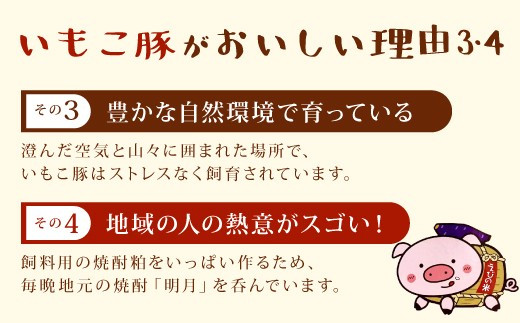 豚肉 宮崎県産 いもこ豚 焼肉 セット 2.1kg 切り落とし 小分け 豚 豚バラ バラ ロース 肩ロース スライス 小間切れ 焼肉用 焼き肉 BBQ 鉄板焼き 豚丼 国産 九州産 宮崎 ブランド 冷凍 送料無料