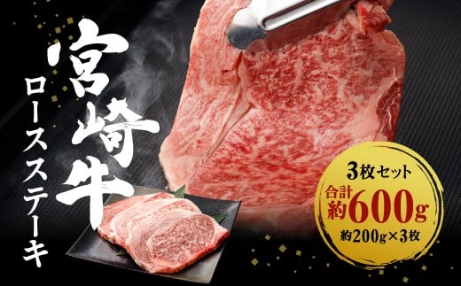y{茧т̎sz{苍 ؂藎Ƃ  [XXe[L 3Zbg 200g×3 600g   Xe[L BBQ o[xL[ 蕨 Mtg i {