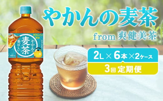 y{茧т̎szy3ցz ₩̔ from u PET (2L×6{)×2P[XyRJR[z  mJtFC ⋋ ǂ e ނ