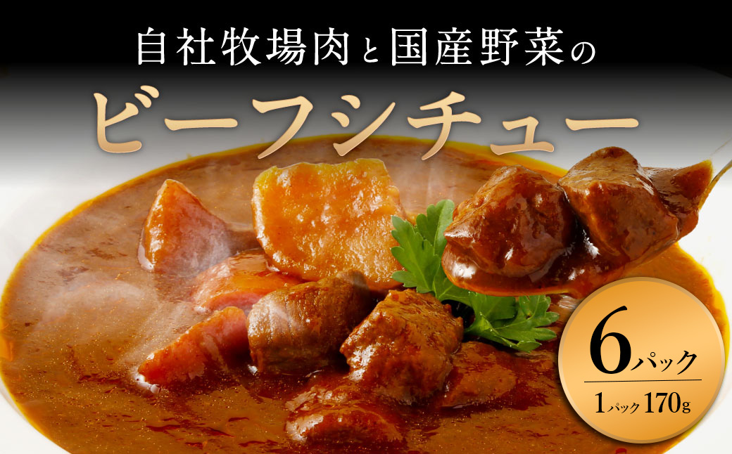 【720牧場グループ牛】自社牧場肉と国産野菜のビーフシチュー 170g×6パック 「720牧場グループ牛」100％使用 ビーフシチュー デミグラスソース 牛肉 惣菜 レトルト おかず 保存食 レンジ 簡単調理 おうちごはん 宮崎県 えびの市 送料無料