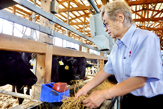 【森村商会】特選近江牛ロースステーキ250g×3枚【L004W】