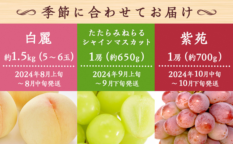 【 2026年 先行予約 】ぶどう 桃 ぼっけぇうめぇ フルーツ 定期便 3回 コース -2 ( 白桃 ・ シャインマスカット ・ 紫苑 )《2026年8月-10月出荷》 岡山県産 フルーツ 果物 数量限定 里庄町 