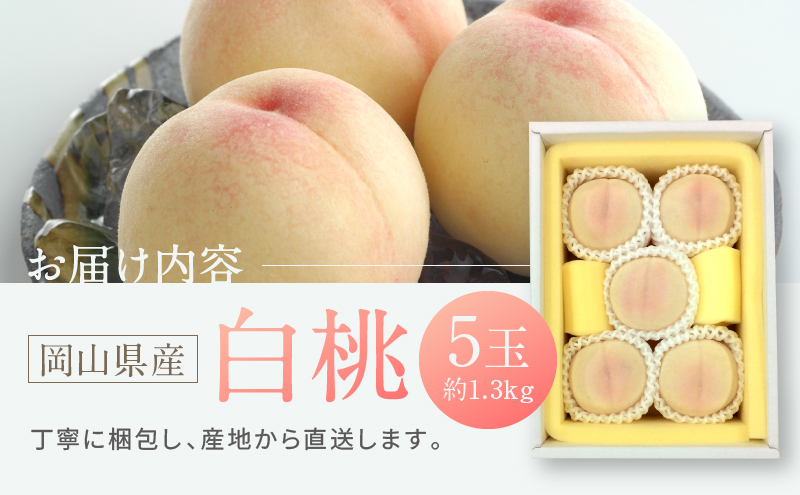 桃の苗 約1.5メートル　白桃　山葡萄セット 桃の苗 約1.5メートル 白桃 山葡萄セット 苗