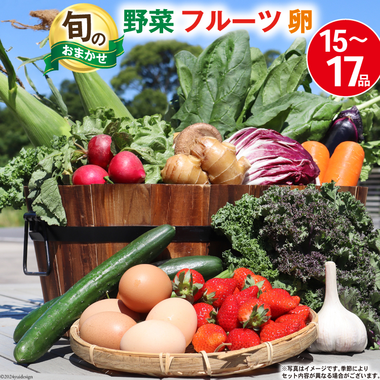 長崎県島原市のふるさと納税 BA025 野菜・フルーツ・卵 旬のおまかせセット （野菜・フルーツ14～16品目、卵6玉）[ 野菜セット 野菜 フルーツ 果物 たまご 鶏卵 産地直送 厳選 長崎県 島原市 送料無料]