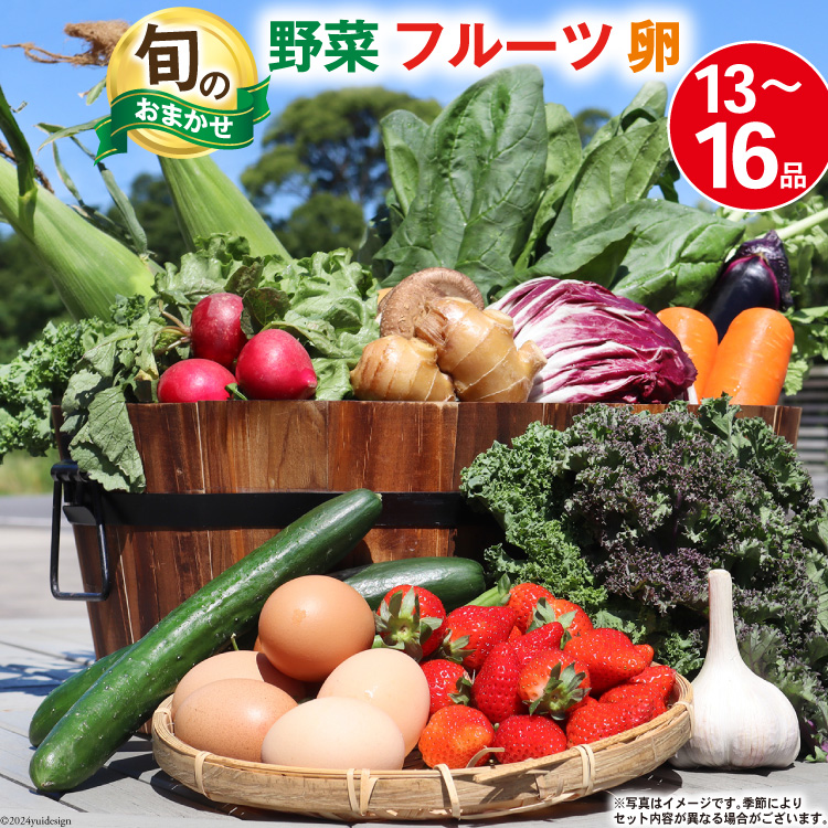 BA025 野菜・フルーツ・卵 旬のおまかせセット （野菜・フルーツ13～16品目、卵6玉）[ 野菜セット 野菜 フルーツ 果物 たまご 鶏卵 産地直送 厳選 長崎県 島原市 送料無料]
