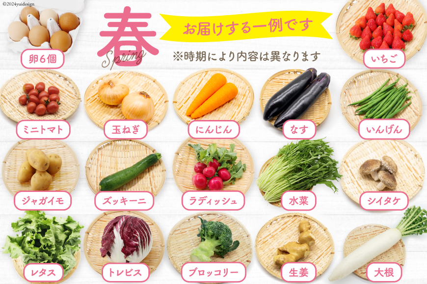 長崎県島原市のふるさと納税 BA025 野菜・フルーツ・卵 旬のおまかせセット （野菜・フルーツ14～16品目、卵6玉）[ 野菜セット 野菜 フルーツ 果物 たまご 鶏卵 産地直送 厳選 長崎県 島原市 送料無料]