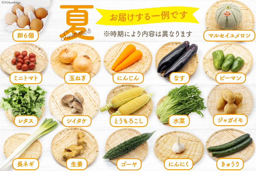 長崎県島原市のふるさと納税 BA025 野菜・フルーツ・卵 旬のおまかせセット （野菜・フルーツ14～16品目、卵6玉）[ 野菜セット 野菜 フルーツ 果物 たまご 鶏卵 産地直送 厳選 長崎県 島原市 送料無料]