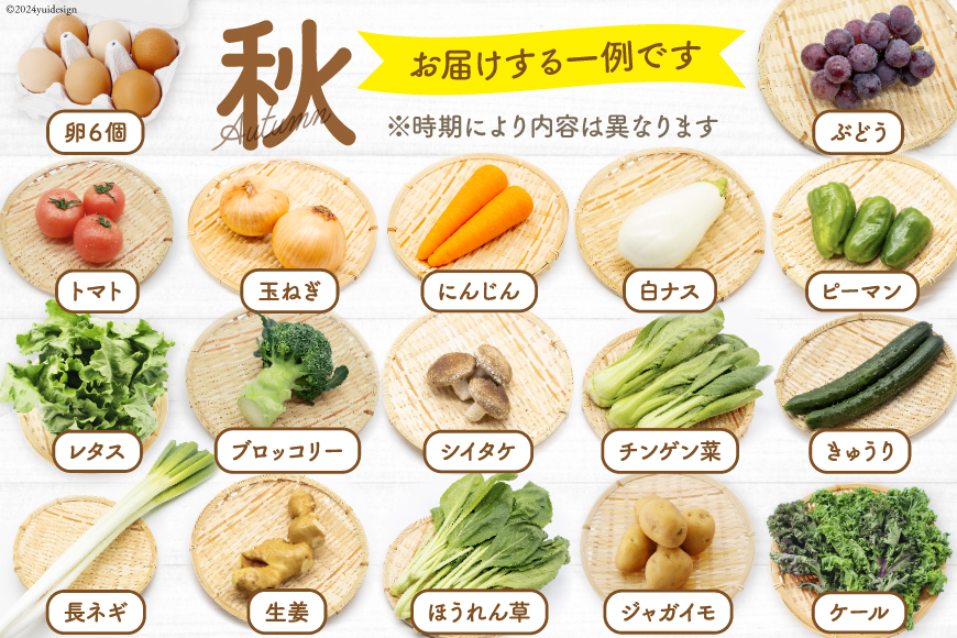 長崎県島原市のふるさと納税 BA025 野菜・フルーツ・卵 旬のおまかせセット （野菜・フルーツ14～16品目、卵6玉）[ 野菜セット 野菜 フルーツ 果物 たまご 鶏卵 産地直送 厳選 長崎県 島原市 送料無料]