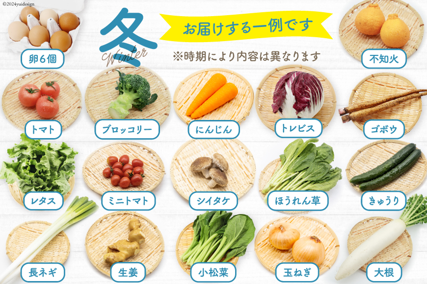 長崎県島原市のふるさと納税 BA025 野菜・フルーツ・卵 旬のおまかせセット （野菜・フルーツ14～16品目、卵6玉）[ 野菜セット 野菜 フルーツ 果物 たまご 鶏卵 産地直送 厳選 長崎県 島原市 送料無料]