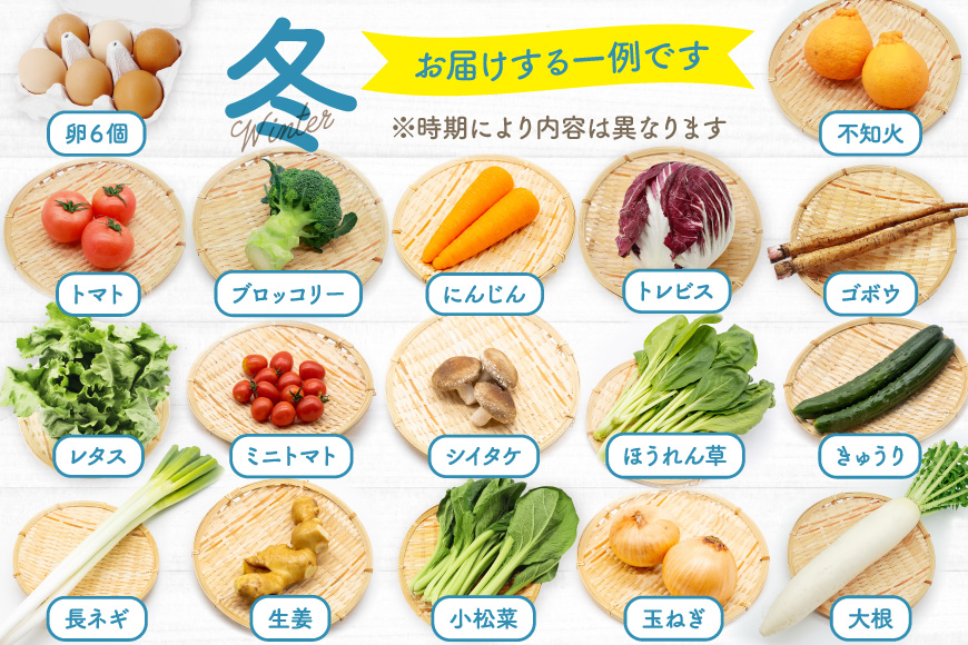 長崎県島原市のふるさと納税 BA025 野菜・フルーツ・卵 旬のおまかせセット （野菜・フルーツ13～16品目、卵6玉）[ 野菜セット 野菜 フルーツ 果物 たまご 鶏卵 産地直送 厳選 長崎県 島原市 送料無料]