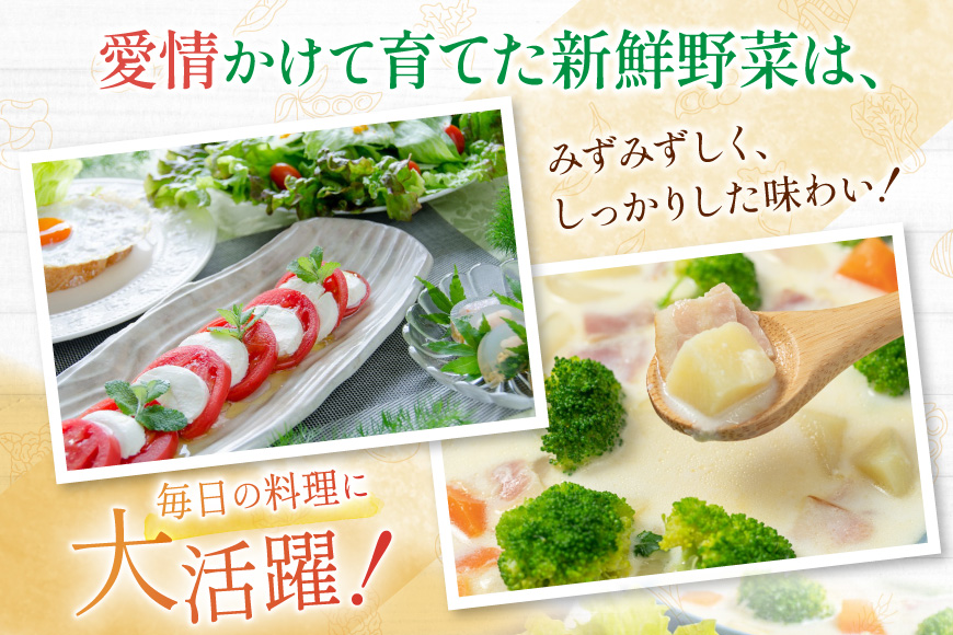 長崎県島原市のふるさと納税 BA025 野菜・フルーツ・卵 旬のおまかせセット （野菜・フルーツ13～16品目、卵6玉）[ 野菜セット 野菜 フルーツ 果物 たまご 鶏卵 産地直送 厳選 長崎県 島原市 送料無料]