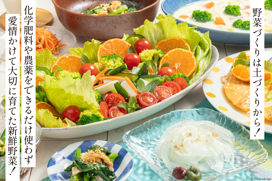 長崎県島原市のふるさと納税 BA025 野菜・フルーツ・卵 旬のおまかせセット （野菜・フルーツ14～16品目、卵6玉）[ 野菜セット 野菜 フルーツ 果物 たまご 鶏卵 産地直送 厳選 長崎県 島原市 送料無料]