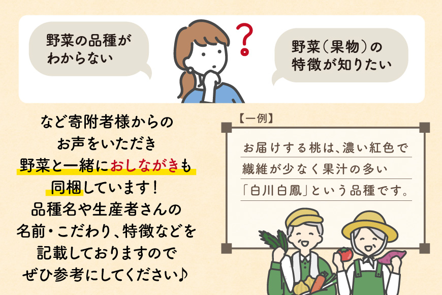 長崎県島原市のふるさと納税 BA025 野菜・フルーツ・卵 旬のおまかせセット （野菜・フルーツ13～16品目、卵6玉）[ 野菜セット 野菜 フルーツ 果物 たまご 鶏卵 産地直送 厳選 長崎県 島原市 送料無料]