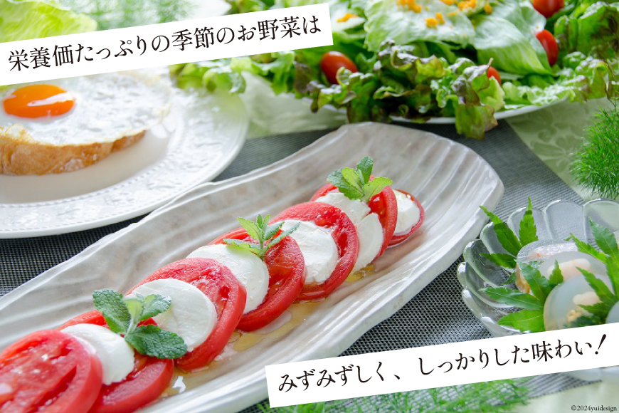 長崎県島原市のふるさと納税 BA025 野菜・フルーツ・卵 旬のおまかせセット （野菜・フルーツ14～16品目、卵6玉）[ 野菜セット 野菜 フルーツ 果物 たまご 鶏卵 産地直送 厳選 長崎県 島原市 送料無料]