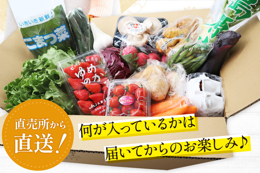 長崎県島原市のふるさと納税 BH113 【6回定期便】 野菜・フルーツ・卵 旬のおまかせセット （野菜・フルーツ13～16種、卵6玉） [ 野菜セット 野菜 フルーツ 果物 たまご 鶏卵 産地直送 厳選 長崎県 島原市 送料無料]