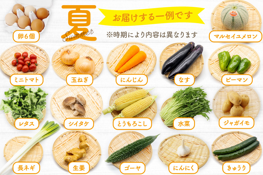 長崎県島原市のふるさと納税 BH113 【6回定期便】 野菜・フルーツ・卵 旬のおまかせセット （野菜・フルーツ13～16種、卵6玉） [ 野菜セット 野菜 フルーツ 果物 たまご 鶏卵 産地直送 厳選 長崎県 島原市 送料無料]