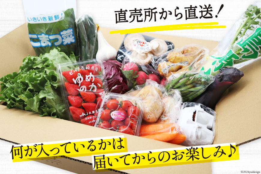 長崎県島原市のふるさと納税 BH113 【6回定期便】 野菜・フルーツ・卵 旬のおまかせセット （野菜・フルーツ14～16種、卵6玉） [ 野菜セット 野菜 フルーツ 果物 たまご 鶏卵 産地直送 厳選 長崎県 島原市 送料無料]