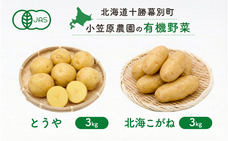 小笠原農園の有機じゃがいも 2種詰合せ（とうや3kg・北海こがね3kg）北海道 十勝 幕別《2026年秋出荷先行予約》【 野菜 芋 じゃがいも とうや 北海こがね セット 】
