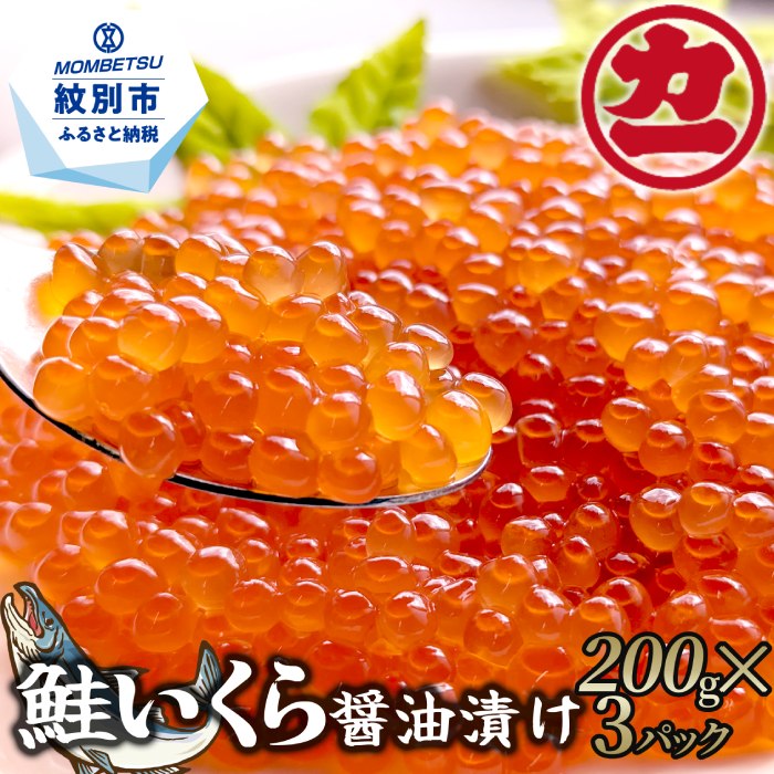 ykCʎsz28-47 ݖЂ200g×3pbN v600g