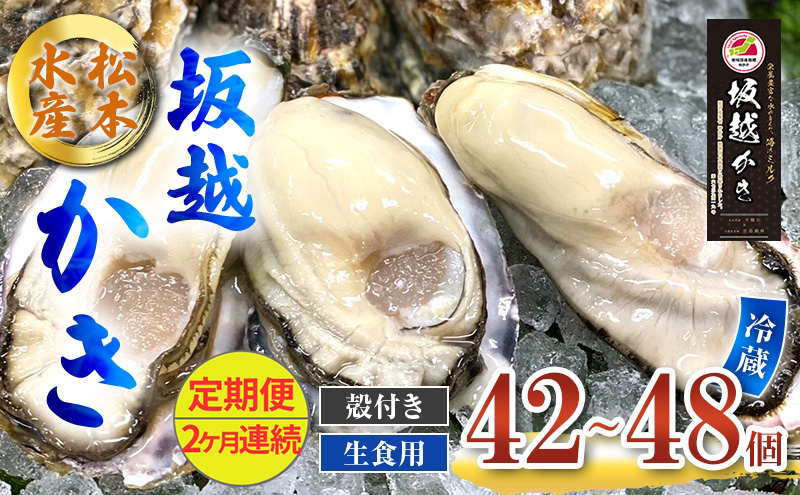 牡蠣 坂越かき 生食用 むき身 300g×2個 (計600g)[ 生牡蠣 冬牡蠣