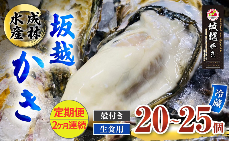 夏も美味しい】牡蠣 坂越かき 赤穂クリスタルブラン20個（牡蠣