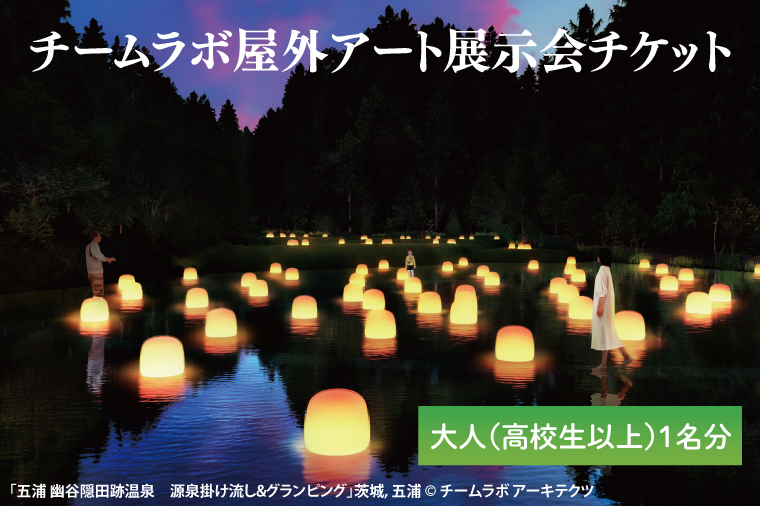 【茨城県北茨城市】チームラボ屋外アート展示会チケット大人(高校生以上)1名分(CJ105)