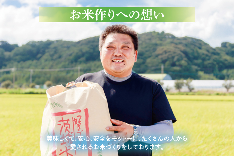 【令和7年産】鹿嶋市産ミルキークイーン 10kg(5kg×2袋)【お米 米 鹿嶋市 茨城県 白米 新米 おにぎり ごはん 30000円以内 3万円以内】(KBS-9）