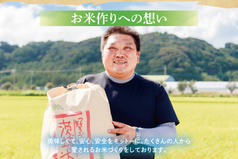 【令和7年産】鹿嶋市産ミルキークイーンと特別栽培米コシヒカリ食べ比べセット計10kg(各5kg×1袋)【お米 米 こしひかり 特別栽培 有機肥料 有機栽培 鹿嶋市 茨城県 玄米 白米 新米 おにぎり ごはん 30000円以内 3万円以内】(KBS-10）