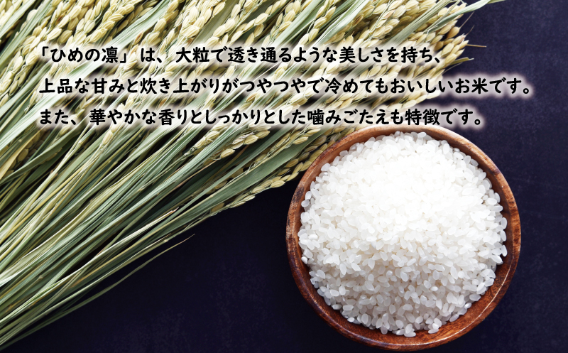 先行予約 新米 令和7年産 ひめの凜 10kg 27000円 お米 白米 精米 米 こめ 産地直送 国産 農家直送 期間限定 数量限定 特産品 先行 事前 受付 令和7年度産 2025年産 新品種 人気 ブランド 大粒 もっちり 甘み プレミアムクオリティ 冷めても おいしい おにぎり コシヒカリ に負けない 香り 内祝い お祝い 贈答品 プレゼント 土産 御礼 お礼 お取り寄せ 愛南町 愛媛県