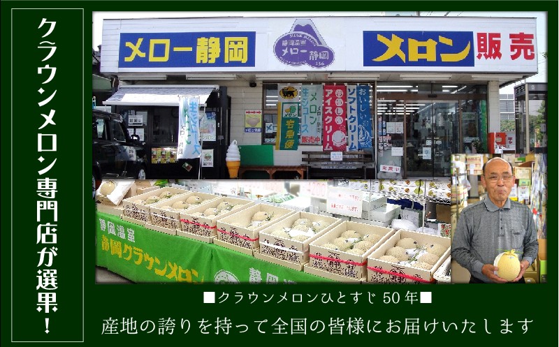静岡県袋井市のふるさと納税 クラウンメロン（白等級）特大玉 ２玉入 果物類 メロン青肉