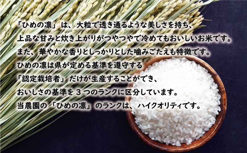 先行予約 新米 令和6年産 ひめの凜 20kg 34000円 お米 白米 精米 米 こめ 産地直送 国産 農家直送 期間限定 数量限定 特産品 先行 事前 受付 令和6年度産 2024年産 新品種 人気 ブランド 大粒 もっちり 甘み ハイクオリティ 冷めても おいしい おにぎり コシヒカリ に負けない 香り 内祝い お祝い 贈答品 お返し プレゼント 土産 御礼 お礼 お取り寄せ 愛南町 愛媛県